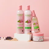 Superdrug Extracts Mallow Flower & Pink Clay Shampoo GOODS Superdrug   