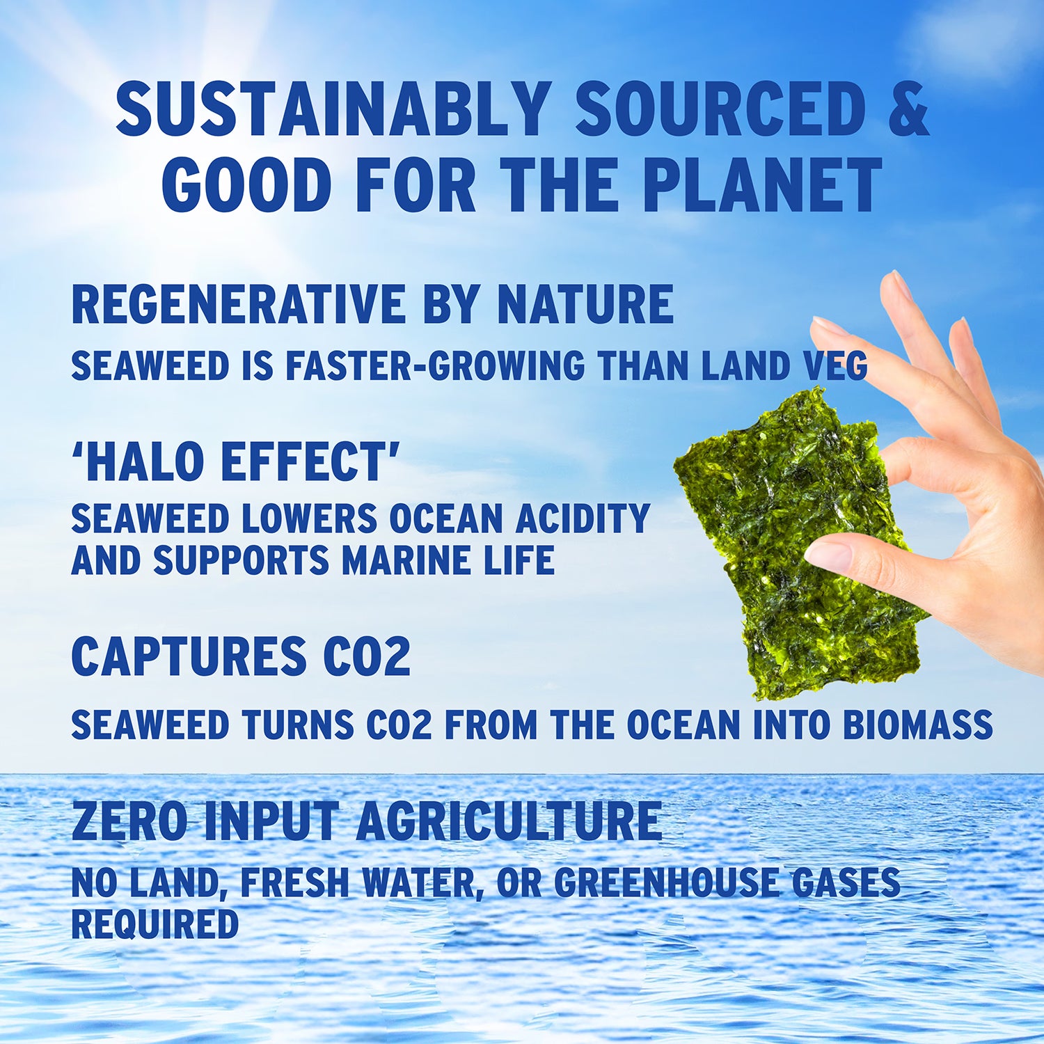 Morish Snacks organic seaweed snacks sea salt 5x4g, UK version