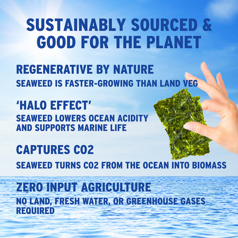Morish Snacks organic seaweed snacks sea salt 5x4g, UK version