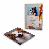 Find Me a Gift Pet Portrait Gift Experience GOODS Superdrug   