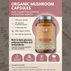 Mycology Nutrition organic Maitake mushroom capsules 450mg 90, UK version