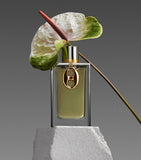Rabanne Mesh Metal Eau de Parfum 125ml (British brand)