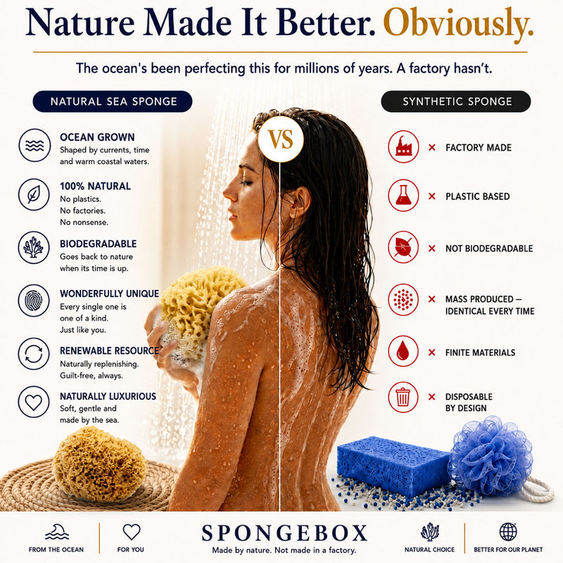 Natural sea sponge puffs 6-pack (British brand)