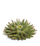 La Doublej ceramic spine candle holder, UK version
