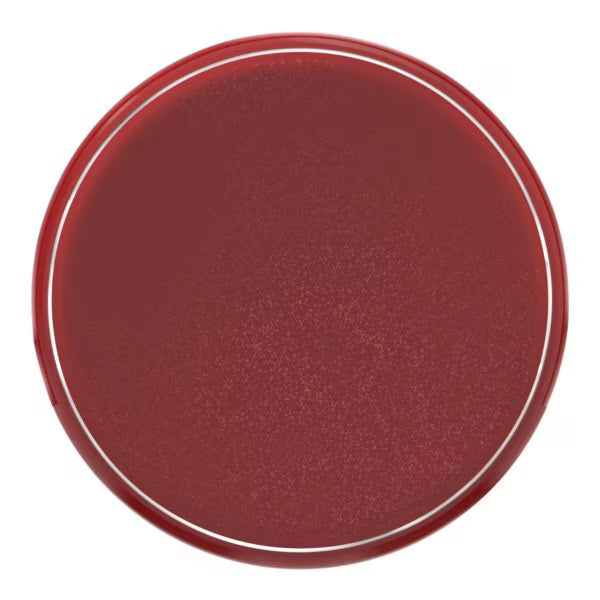 L'Oréal Paris Liquid Blush 635 Glowy Worth It, UK version
