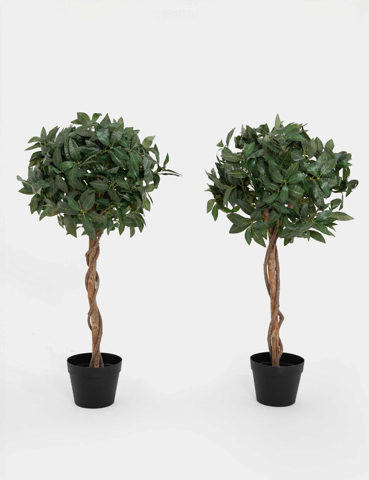 Blooma Artificial Bay Trees Set of 2 3ft (British brand)