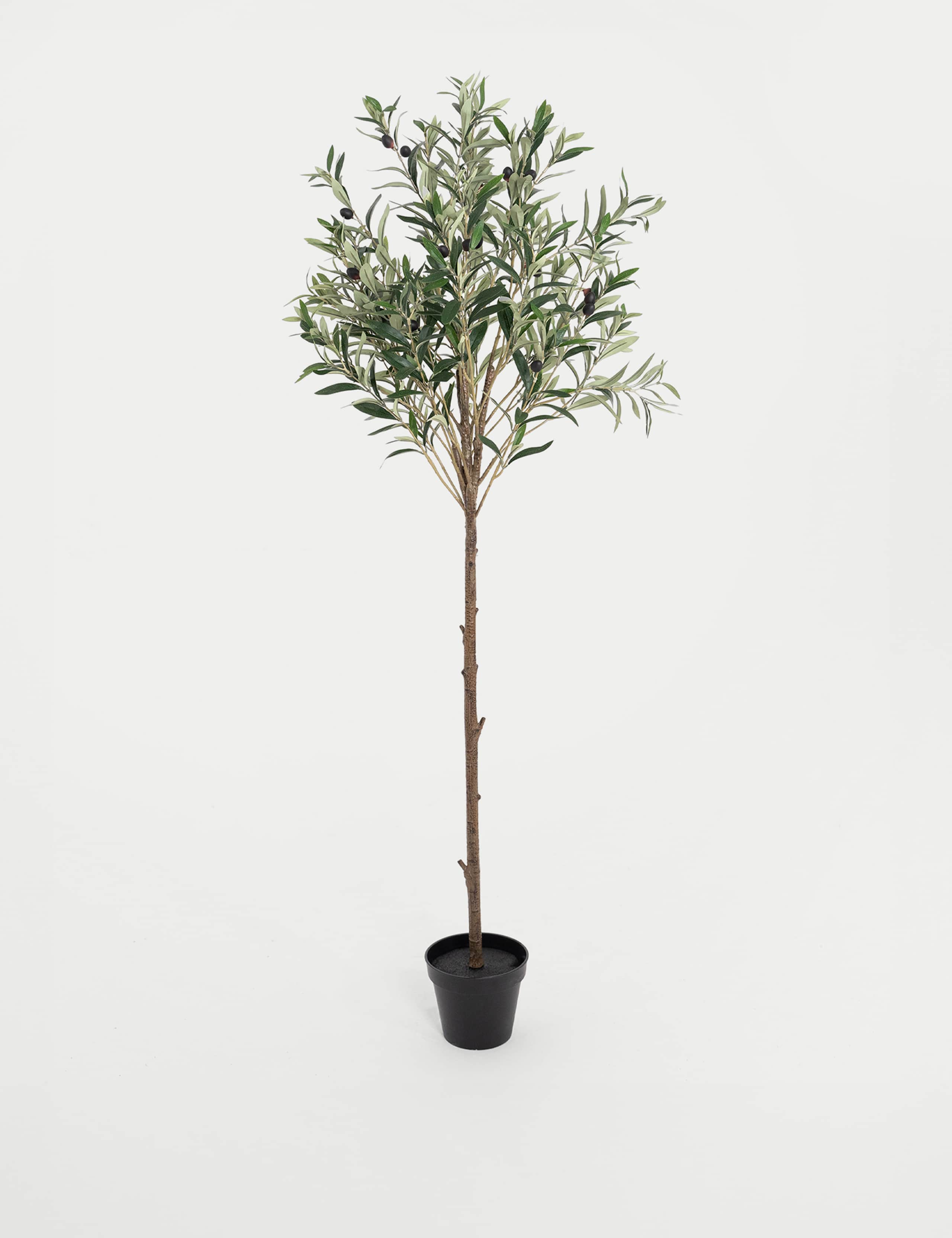 Blooming Artificial 4.5ft olive tree with fruits, imported from the UK
