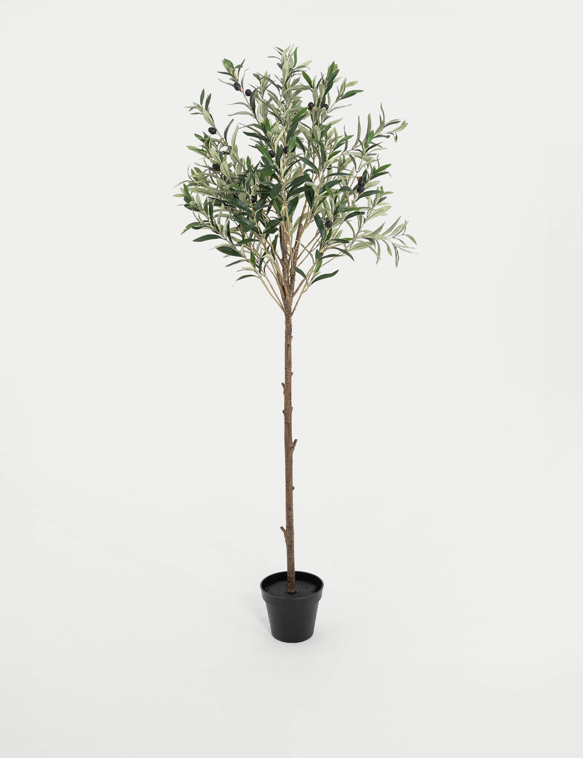 Blooming Artificial 4.5ft olive tree with fruits, imported from the UK