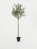 Blooming Artificial 4.5ft olive tree with fruits, imported from the UK