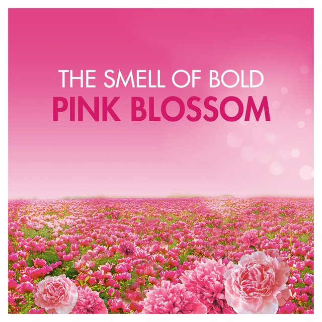 Bold 2in1 Washing Liquid Pink Blossom 60 Washes   2L GOODS M&S   