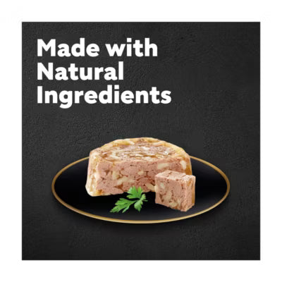 ASDA Cesar Senior Wet Dog Food Trays Meat in Delicate Jelly 8 x 150g- Buy online at McGrocer