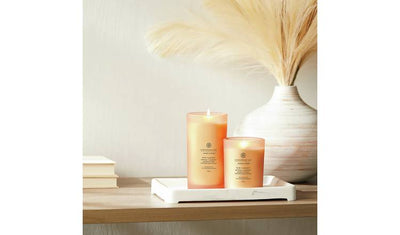 Argos Chesapeake Bay Grapefruit Mango Large Candle- Buy online at McGrocer