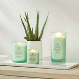 Chesapeake Bay Waterlily Pear medium candle, UK version