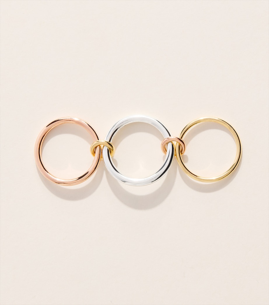 Spinelli Kilcollin mixed gold and sterling silver Capricorn ring - British product