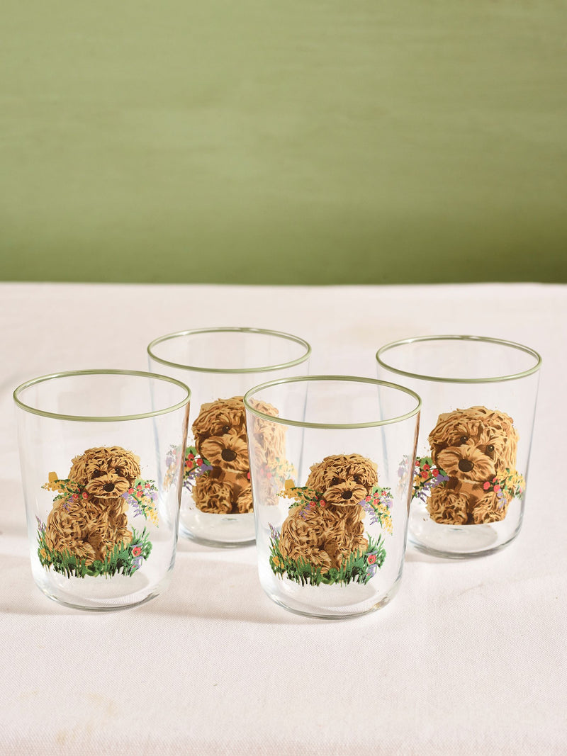 Charlie the Cockapoo Sage Green Tumbler Glasses Set of 4 (British brand)