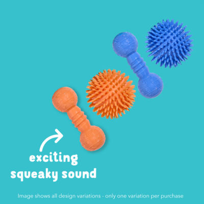 Good Boy squeaky dog toy - British product