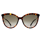 Jimmy Choo BELINDA/S brown gradient cat-eye sunglasses - British product