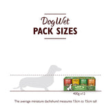 Lily's Kitchen Classic Recipes for Dogs Multipack   12 x 400g GOODS M&S   