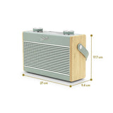 Roberts internet radio duck egg Rambler Max, imported from the UK