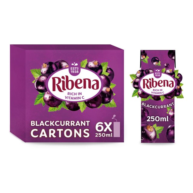 Ribena Blackcurrant Juice Cartons   6 x 250ml GOODS M&S   