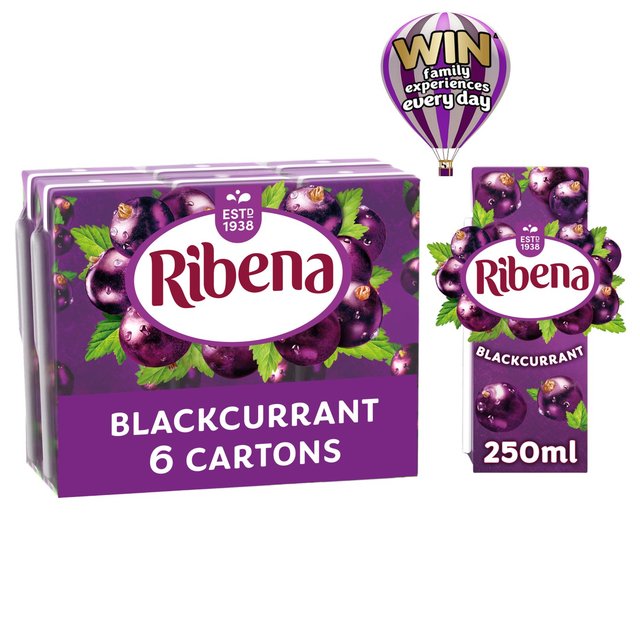 Ribena Blackcurrant Juice Cartons   6 x 250ml GOODS M&S   