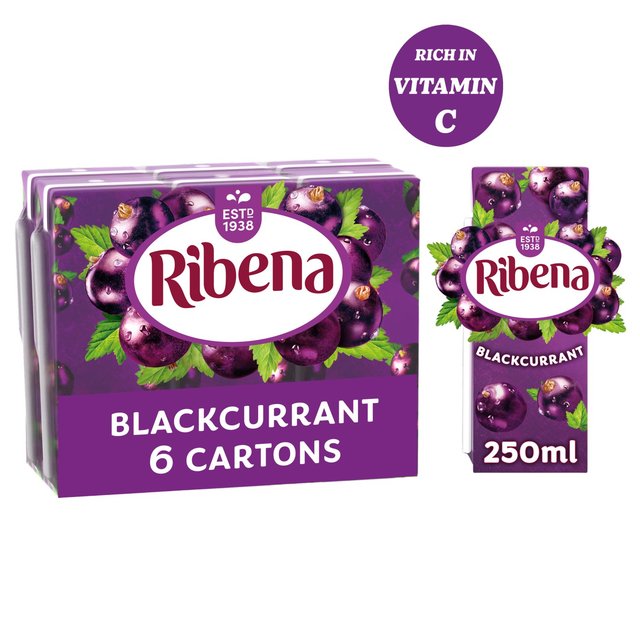 Ribena Blackcurrant Juice Cartons   6 x 250ml GOODS M&S   