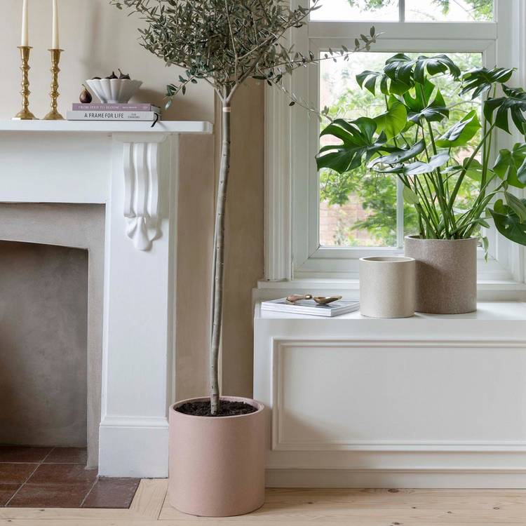Ivyline Valetta Terrazzo Planter set of 3 blush (British brand)