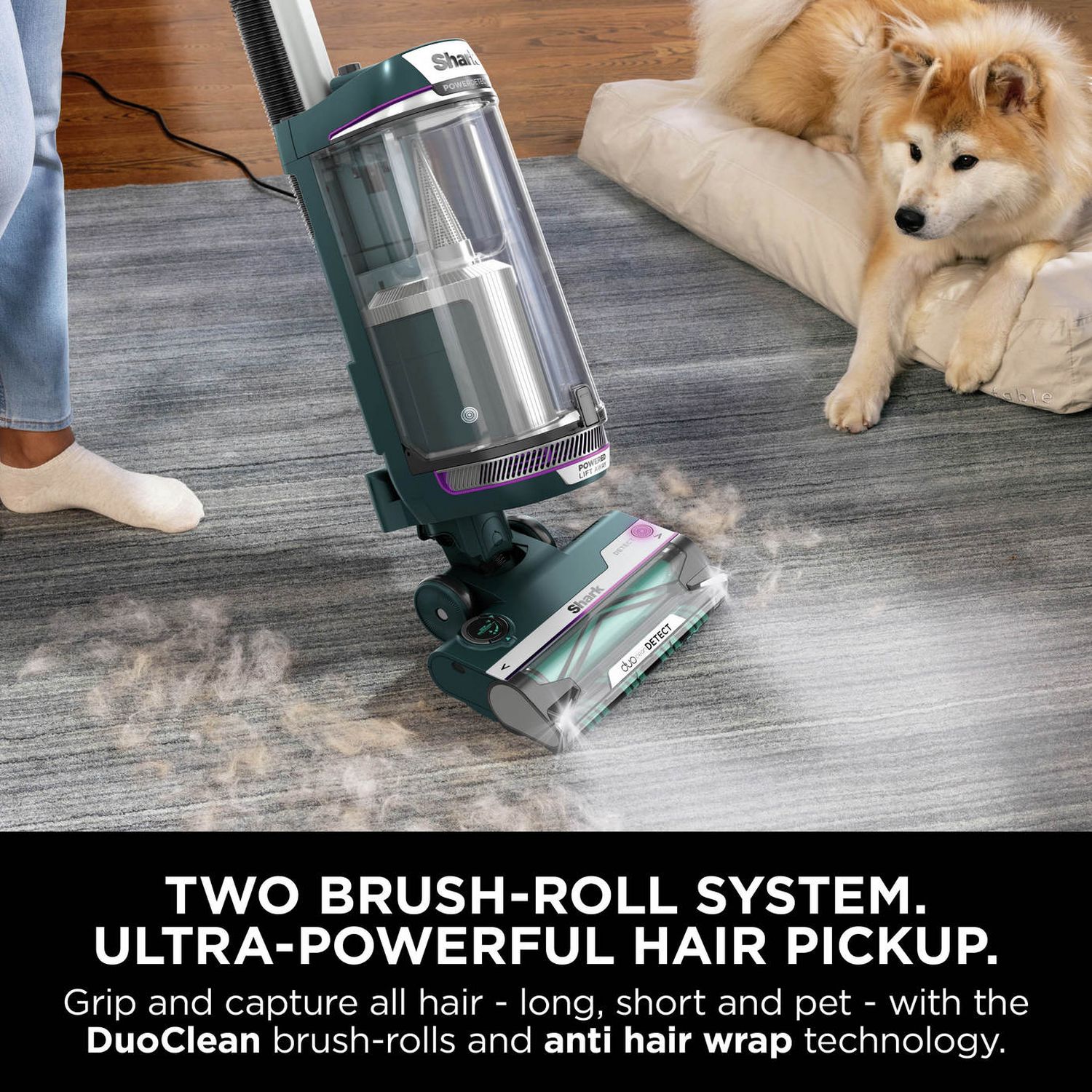 Shark PowerDetect upright corded vacuum cleaner, UK version