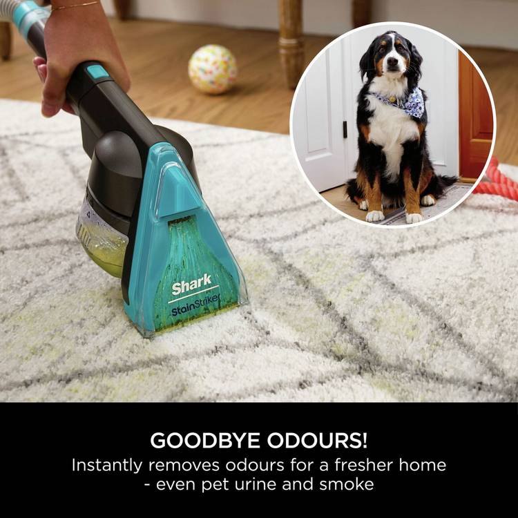 Shark CarpetXpert HairPro Pet corded carpet cleaner - British product