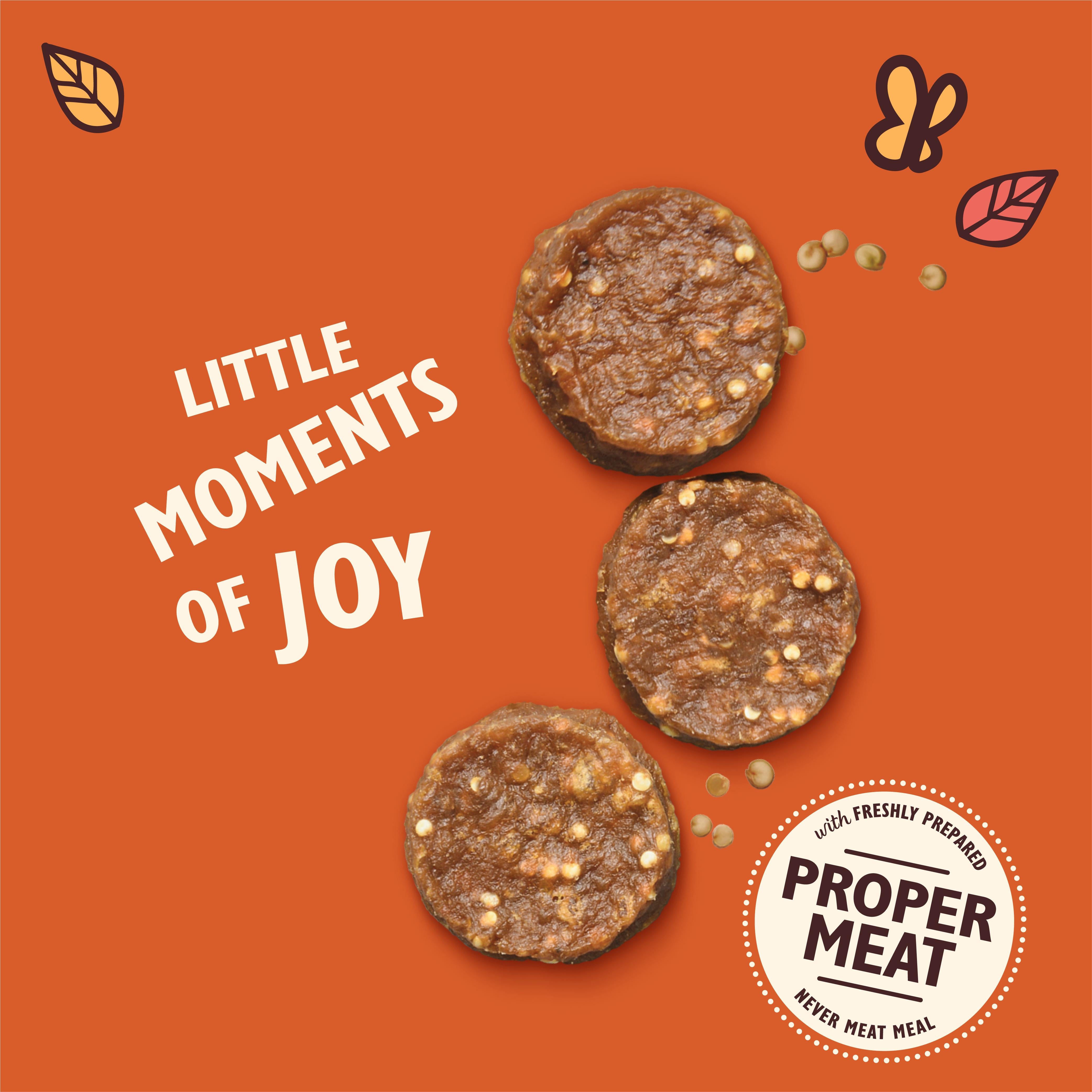 Lily's Kitchen dog treats Chomp-Away Chicken Bites 70g (British brand)