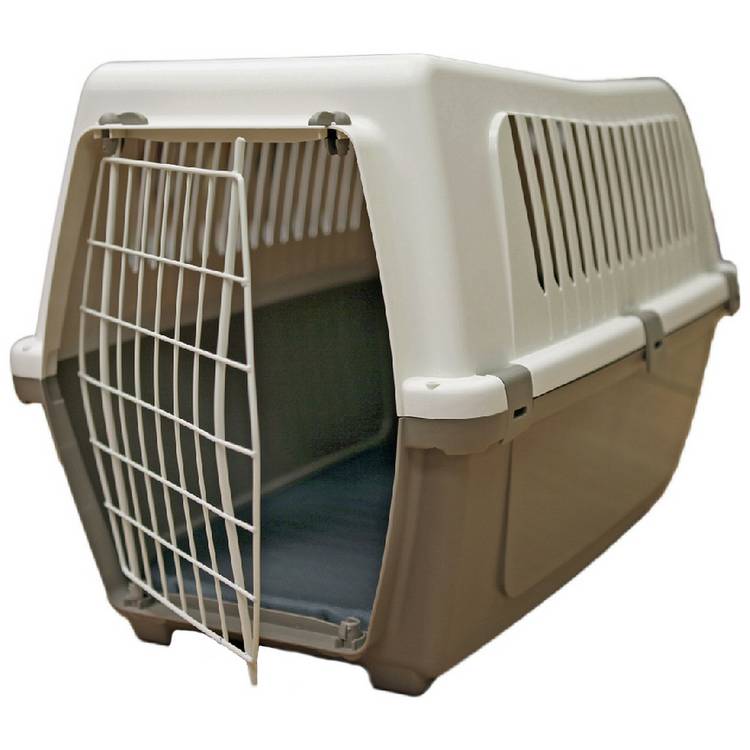 Rosewood plastic pet carrier with cushion medium - British product