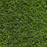 Namgrass Pragma 40mm artificial grass roll 10m² (British brand)