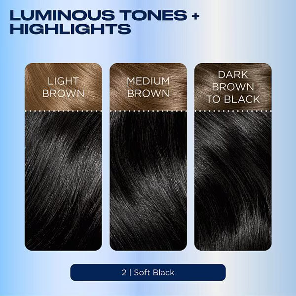 Clairol Nice'N Easy black hair dye - British product