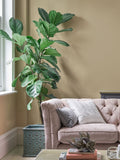 Laura Ashley Dove Grey White Matt Emulsion Paint 2.5L