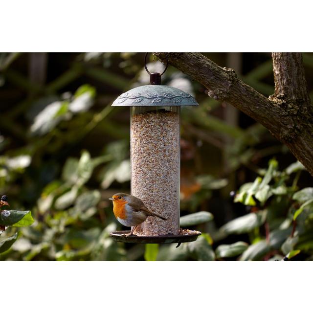 Peckish Secret Garden Seed Feeder