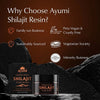 Ayumi Shilajit Resin 30g - British product