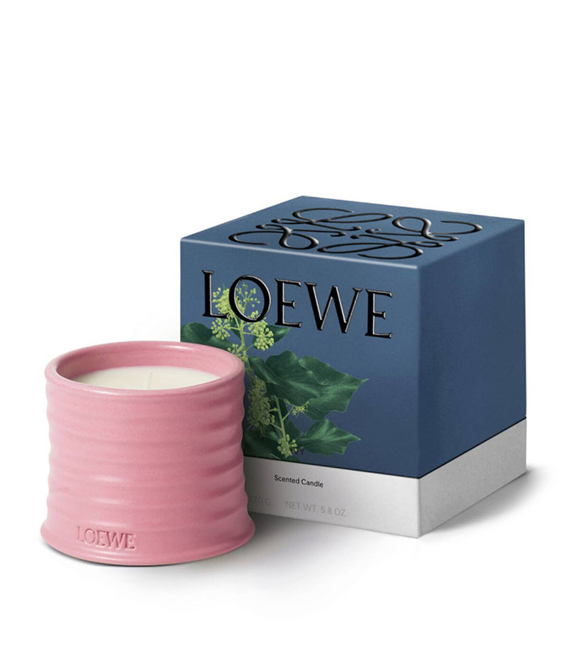 LOEWE small Ivy scented candle in terracotta vessel 170g, UK version