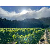 Capeography Cloudscape Paarl Cinsault   75cl GOODS M&S   