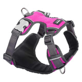 Red Dingo Hot Pink Padded Dog Harness Medium GOODS M&S   