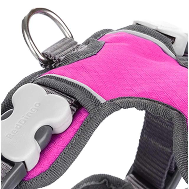 Red Dingo Hot Pink Padded Dog Harness Medium