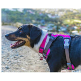 Red Dingo Hot Pink Padded Dog Harness Medium GOODS M&S   