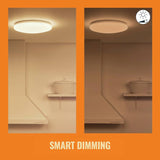 WiZ Adria smart ceiling light white flush mount 32cm, UK version