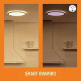 WiZ Superslim metal LED smart flush ceiling light, imported from the UK
