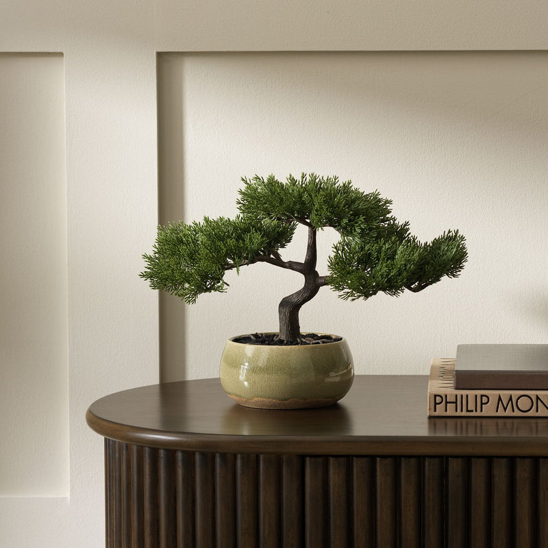 Argos Home artificial bonsai tree in ceramic glaze pot 22.5cm, imported from the UK