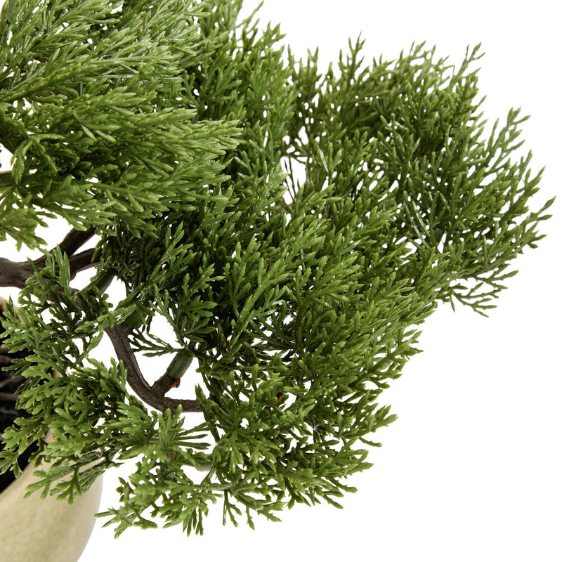 Argos Home artificial bonsai tree in ceramic glaze pot 22.5cm, imported from the UK