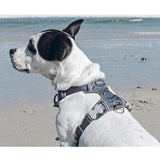 Red Dingo Cool Grey Padded Dog Harness GOODS M&S   