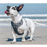 Red Dingo Cool Grey Padded Dog Harness GOODS M&S   