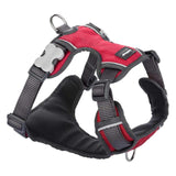 Red Dingo Red Padded Dog Harness GOODS M&S   