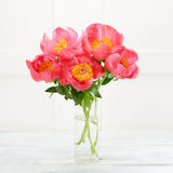 Sainsbury's Peonies GOODS Sainsburys   