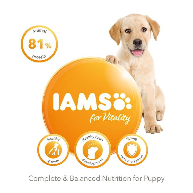 IAMS for Vitality Puppy Food Large Breed with Fresh Chicken   2kg GOODS M&S   